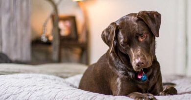 Materace na ramie drewnianej